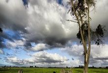 [国内足球]女超联赛拉开战幕 揭幕战万人观赛.