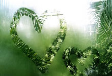 布克41+7杜兰特26分 太阳轻取公牛升至第十.