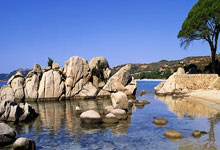 世预赛-拜合拉木破门张玉宁建功 国足2-1印尼取首胜.